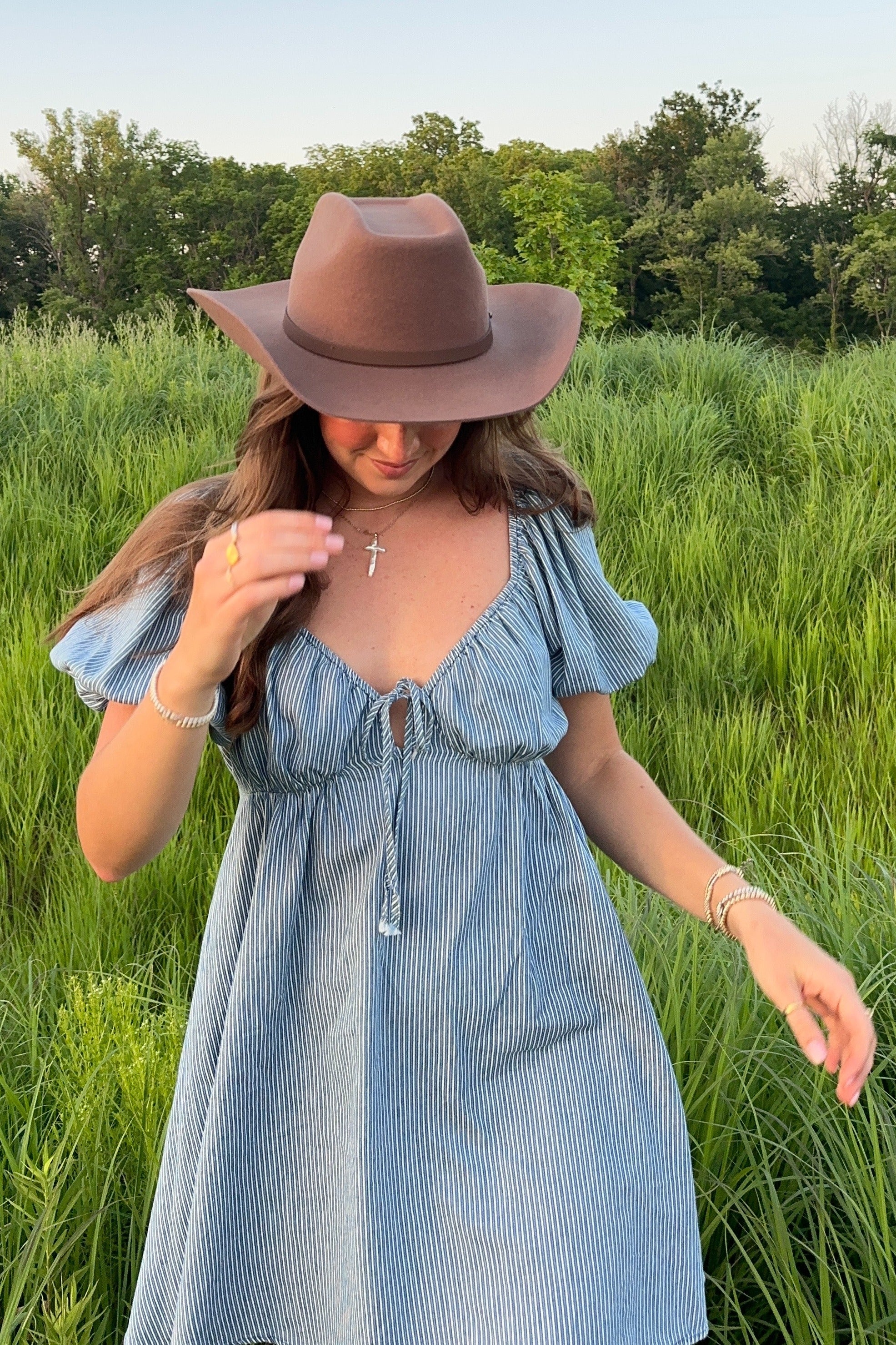 Blue Striped Chambray Front Tie Mini Dress - Image 4